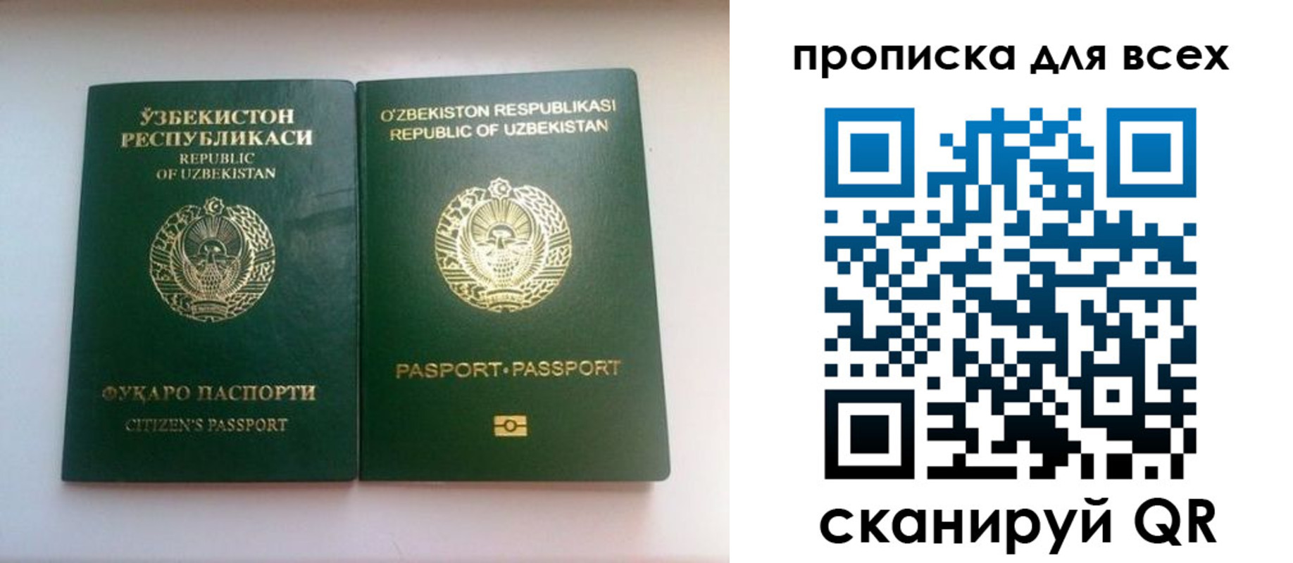 прописка для школы в Димитровграде